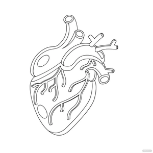 Real Heart Outline Clipart