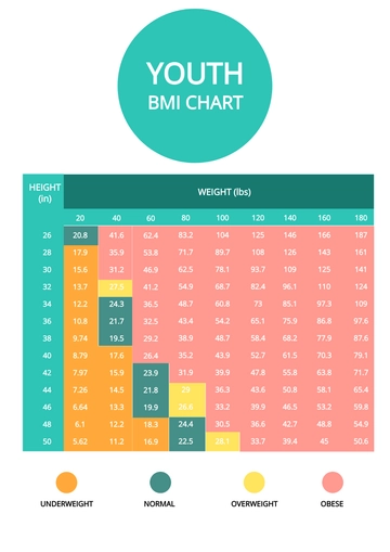 Free Youth BMI Chart Template to Edit Online