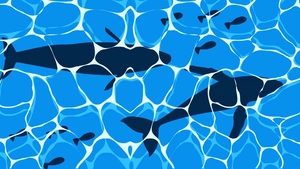 Anime Ocean Background