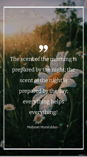 Mehmet Murat ildan - The scent of the morning is prepared by the night; the scent of the night is prepared by the day; everything helps everything!