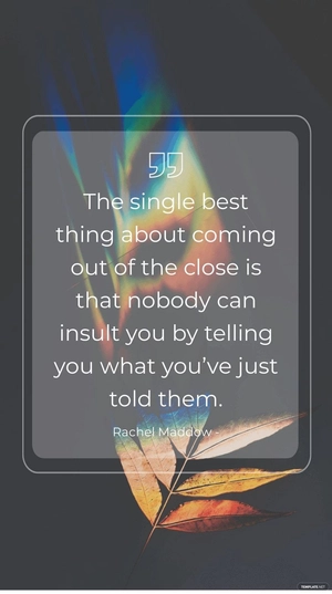 Rachel Maddow - The single best thing about coming out of the close is that nobody can insult you by telling you what you’ve just told them.