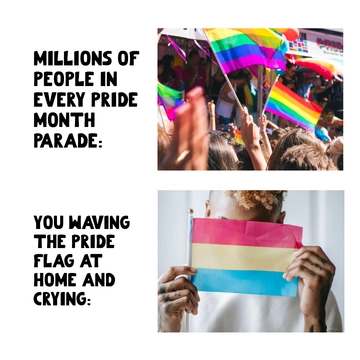 Free Pride Month Statistics Meme Template to Edit Online