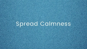 Blue Grasscloth Wallpaper
