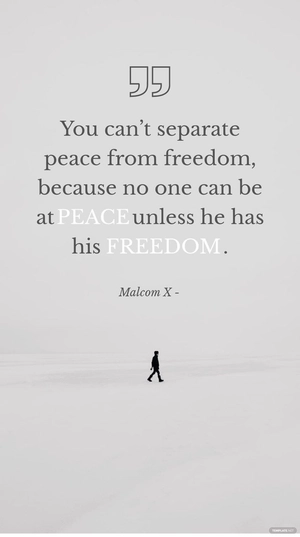 Malcom X - You can’t separate peace from freedom, because no one can be at peace unless he has his freedom.