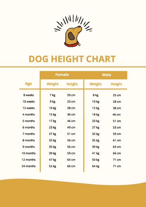 Dog Height Chart