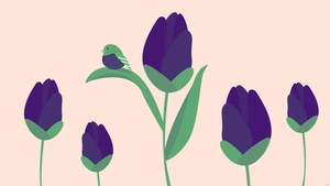 Purple And Green Background