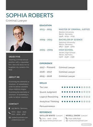 Basic Criminal Lawyer Resume
