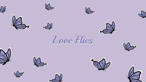Cute Butterfly Wallpaper