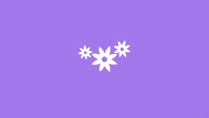 Plain Purple Background