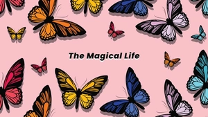 Colorful Butterfly Wallpaper