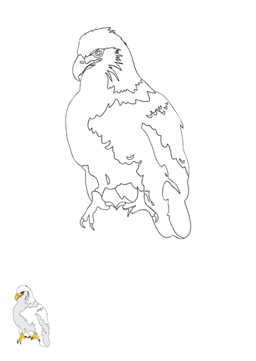 Free Standing Eagle coloring page Template to Edit Online