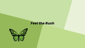 Mint Green Butterfly Wallpaper