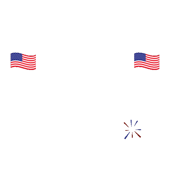 4th Of July Firework Gif