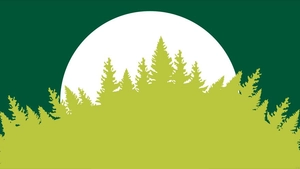 Simple Nature Background