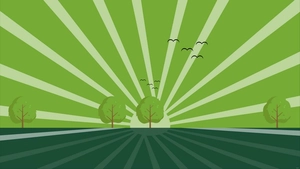 Natural Light Background