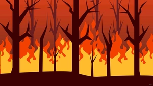 Forest Fire Background