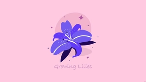 Lily Flower Wallpaper
