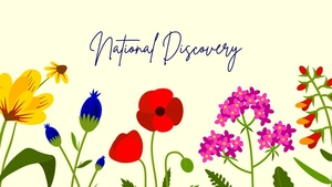 Wild Flower Wallpaper