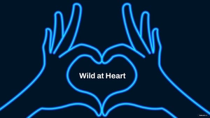 Blue Neon Wallpaper