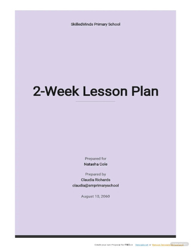 Blank Lesson Plan Template - 28+ Free PDF, Excel, Word, Google Drive ...