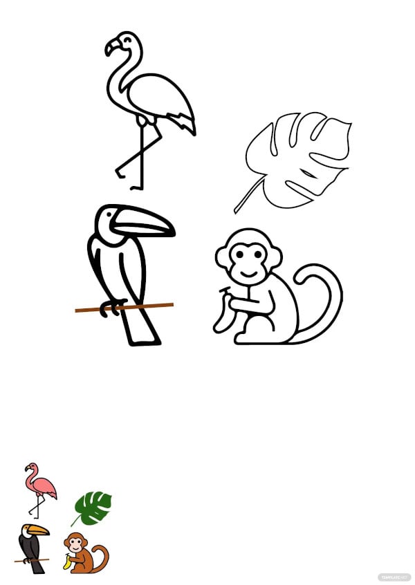 free tropical animals coloring pages