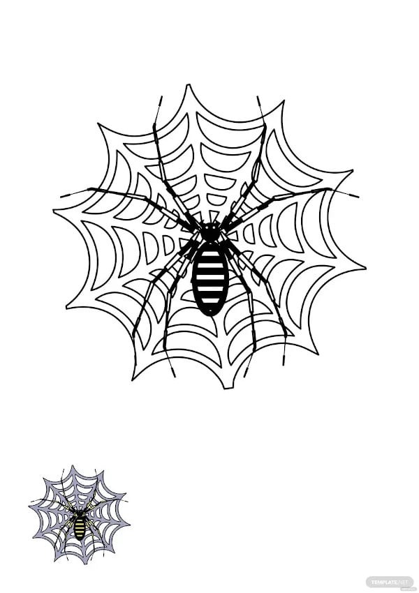 spider web coloring page template