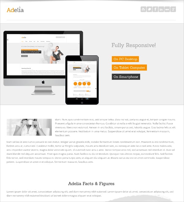 corporate agency wordpress website theme