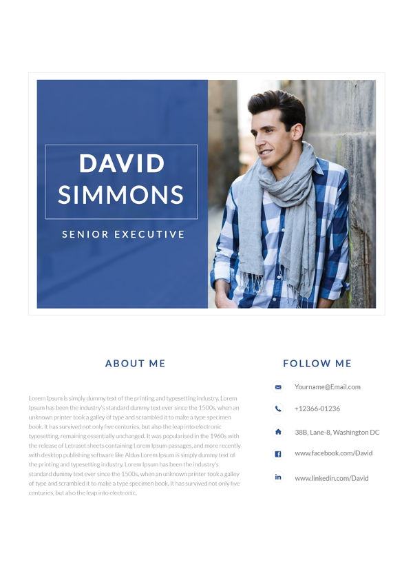 free-senior-executive-resume-template