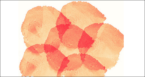 Top 25 Stunning Watercolor Effect Photoshop Brushes to Enhance Your