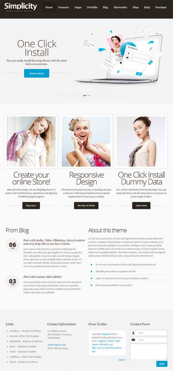10+ Best Boutique Web Design Templates
