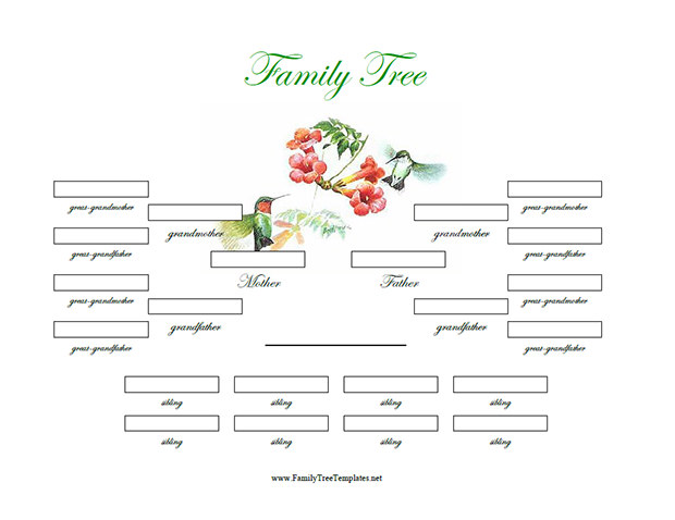 12 Premium Family  Tree  Template for Free Free Premium 