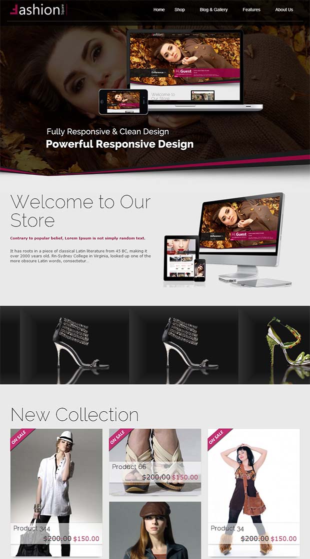 12-best-boutique-web-design-templates-free-premium-templates