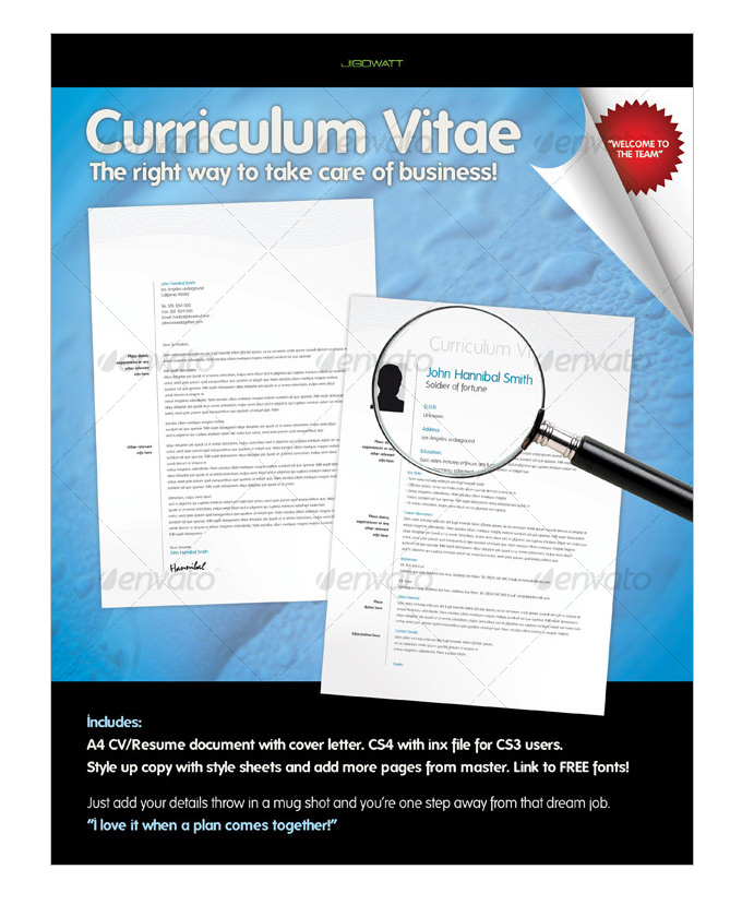 curriculum vitae