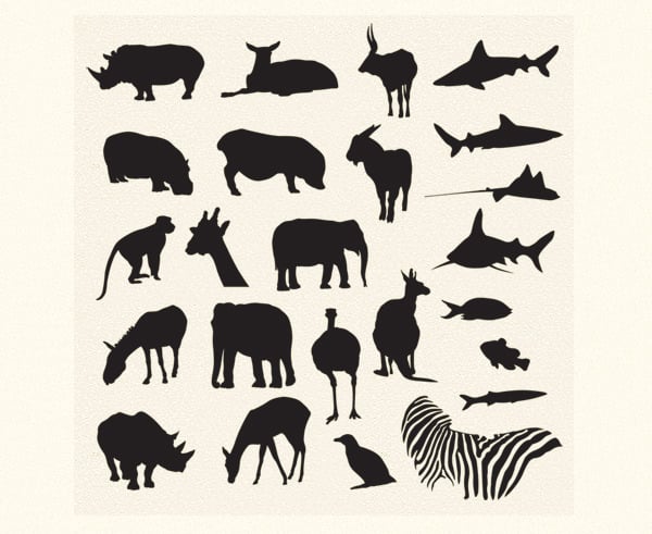 safari and zoo animals