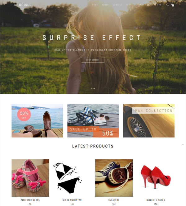 free wordpress responsive shop ecommerce website theme