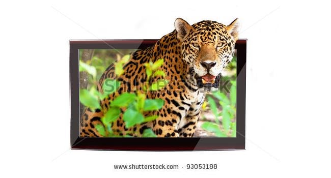 d tv with jaguar on the display