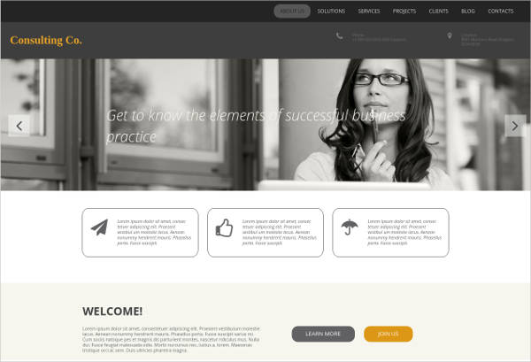 consulting business advisory services website design