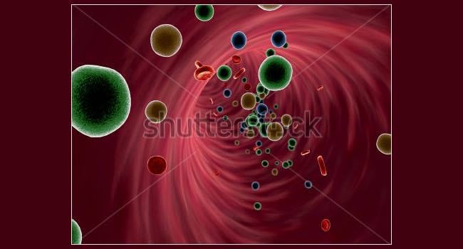 high quality 3d render of blood cells photo