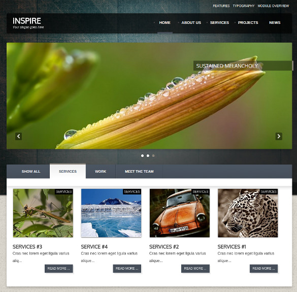 19+ Photography Joomla Themes & Templates