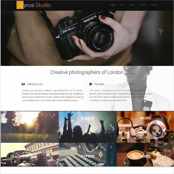 12+ Free Html Themes & Templates