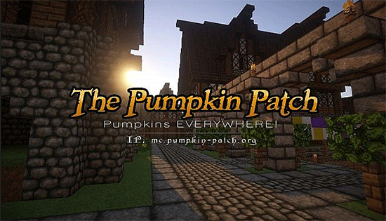 pumpkin-patch