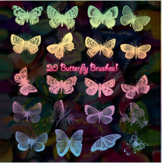 20-butterfly-brushes-2