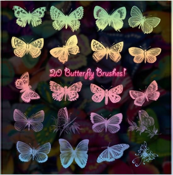 20-butterfly-brushes