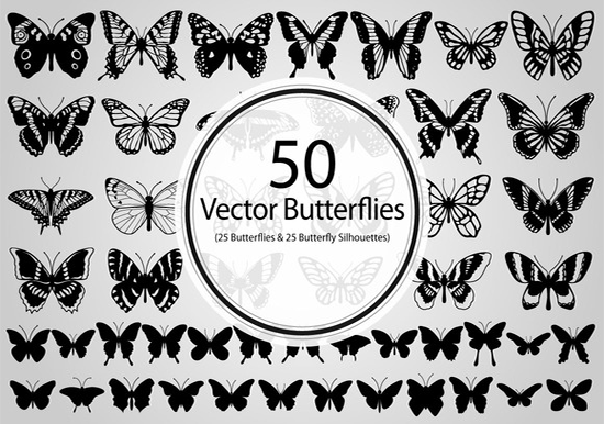 50 butterflies