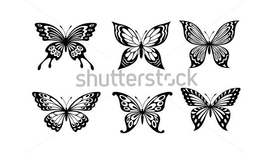 beautiful butterflies in monochrome