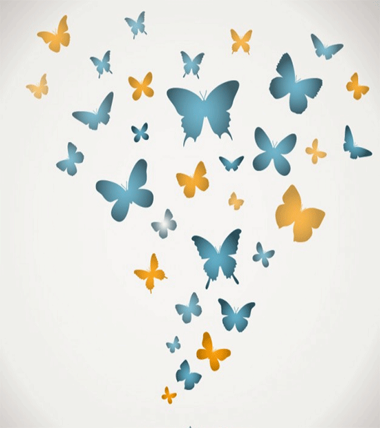 butterflies vector template