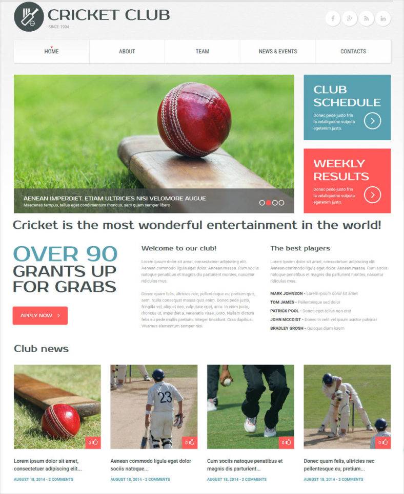 28+ Soccer Club Website Themes & Templates