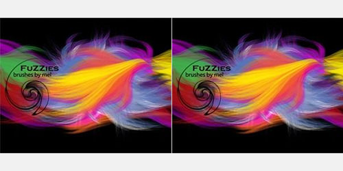 fuzzies brushes