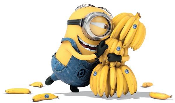 minions yellow funny wallpapers copy