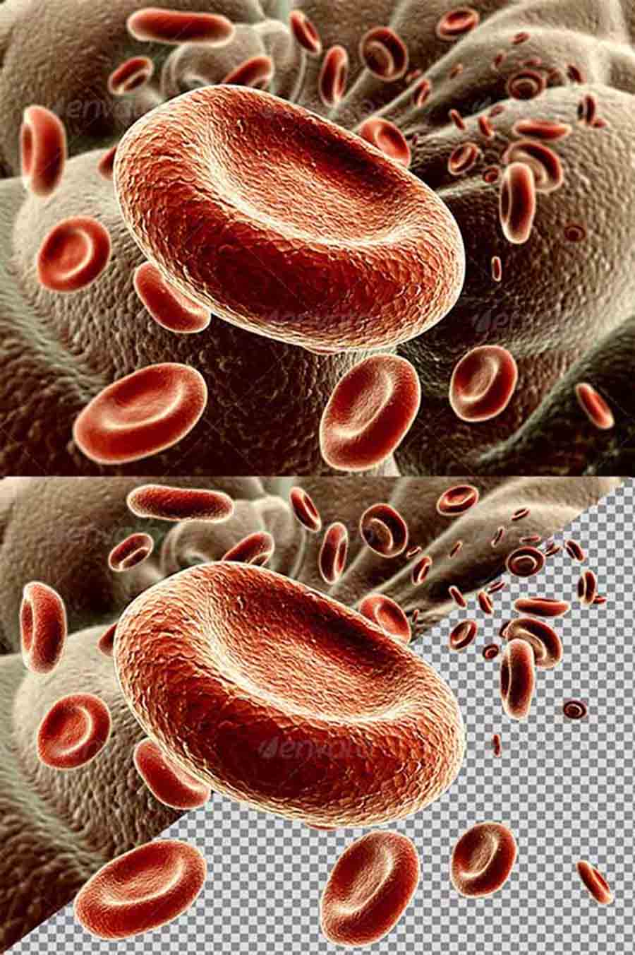 red blood cells copy